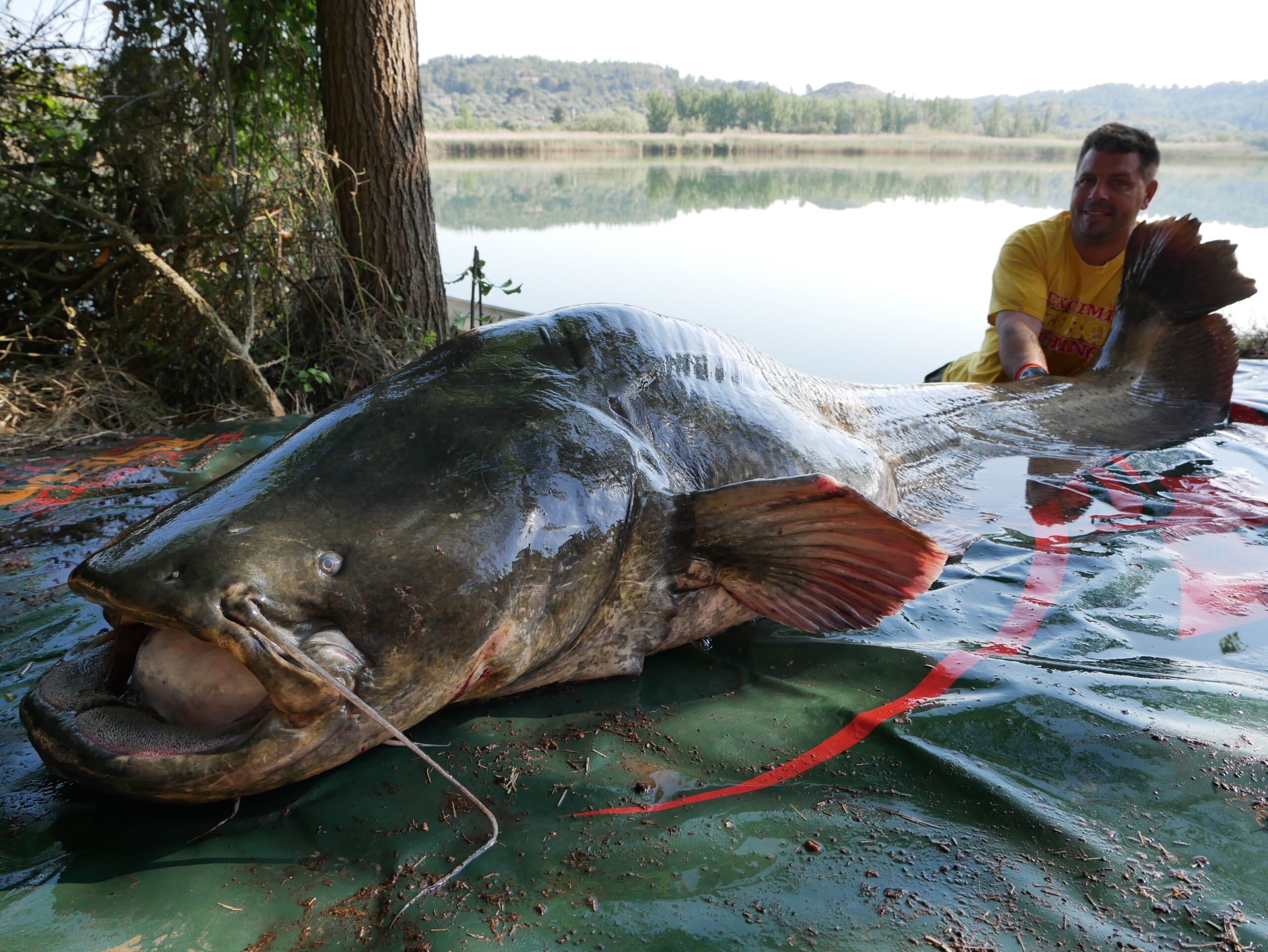 Angeln Am Ebro bei extreme ebrofishing zum Vollmond im Mai