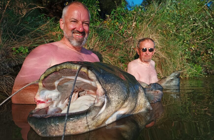 Welsfischen am Ebro im august