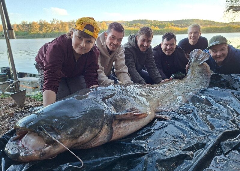 Guiding am Ebro auf wels und karpfen