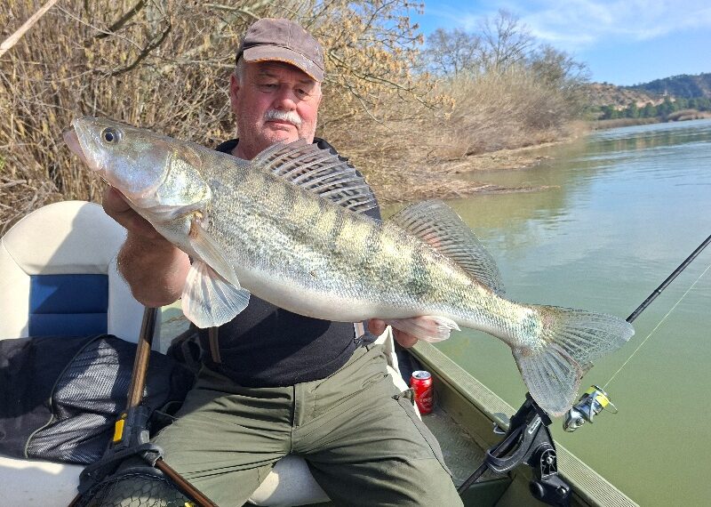 zander angeln mit gummifisch am ebro (ebromanie) Team baits