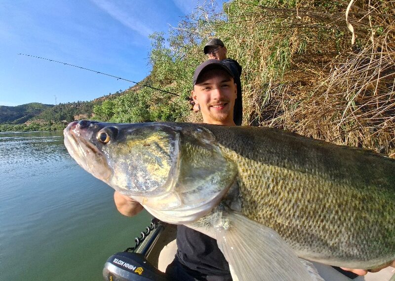 ebro zander mit 93cm beim guiding auf wels